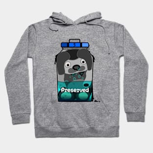 A beloved childhood companion Hoodie